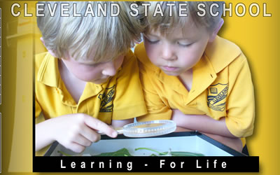 Cleveland State School Cleveland