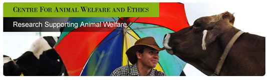 Centre for Animal Welfare and Ethics Gatton