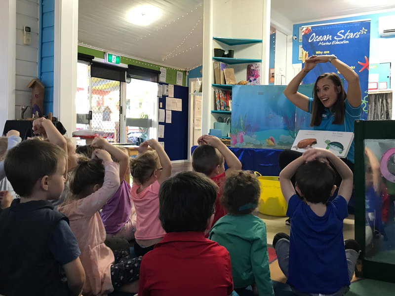 Ocean Stars Marine Education Mount Nathan