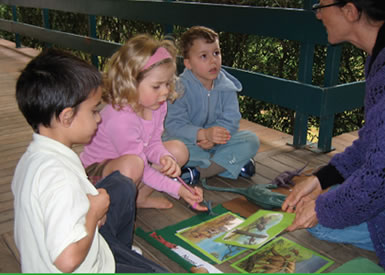 Brisbane Montessori School Fig Tree Pocket