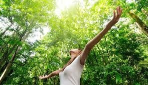 STARS Institute of Learning and Leadership Mount Cotton