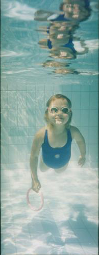 Coopers Swim School Burleigh