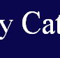 McCarthy Catholic College Tamworth - Education QLD