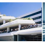Australian International College of Language - Education Gold Coast