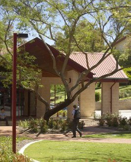 Newman College - Marcellin Campus - Education QLD 3