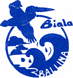 Biala Special School - thumb 0