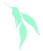 Horticultural Training Pty Ltd - Education QLD