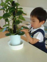 Australian Montessori Society - Education QLD 3