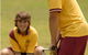 Holy Cross College Ryde - thumb 2