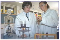 Auburn NSW Schools and Learning Education QLD Education QLD