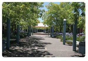 Mary MacKillop College - Education QLD 1
