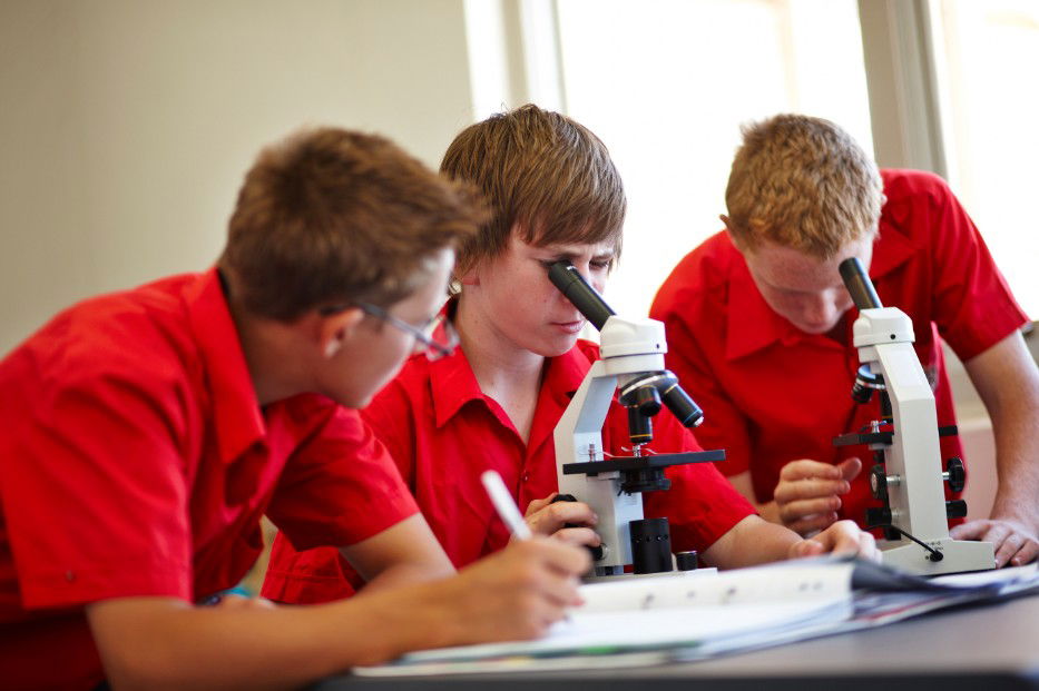  Education QLD