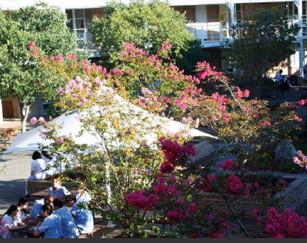 Moriah College - Education QLD 1
