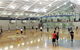 Saint Ignatius College Riverview - thumb 5