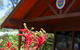 St Paul's Grammar School - thumb 10