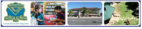 Fortitude Valley State School - Education QLD 0