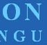 BYRON BAY ENGLISH LANGUAGE SCHOOL - Education Gold Coast
