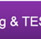 Institute of Continuing and Tesol - Education QLD