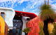 Kurongkurl Katitjin, Centre For Indigenous Australian Education And Research - thumb 1