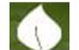 SA COLLEGE OF NATURAL AND TRADITIONAL MEDICINE PTY LTD - thumb 0
