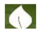 SA COLLEGE OF NATURAL AND TRADITIONAL MEDICINE PTY LTD - Education Brisbane 0