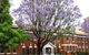 Perth College - thumb 2