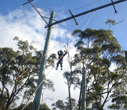 Malek Fahd Islamic School - Education QLD 5
