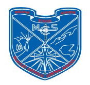 Mcauley Catholic Central School