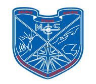 Mcauley Catholic Central School