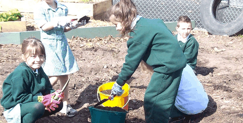 Chalcot Lodge Primary School - thumb 0