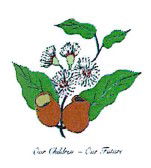 Marri Grove Primary School - Education QLD 0