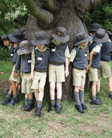 Sydney Grammar St Ives Preparatory School - Education QLD 3