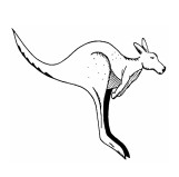 Kangarilla Primary School