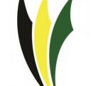 Ascot Park R-7 Specialist Physical Education and Sport School - Education Brisbane