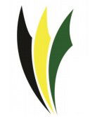 Ascot Park R-7 Specialist Physical Education And Sport School - Education QLD 0