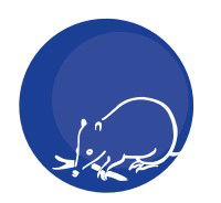 Mylor SA Education QLD