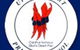 Upper Sturt Primary School - thumb 0