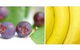 Beck Health & Nutrition - thumb 0