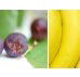 Beck Health  Nutrition - Education QLD