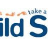 Child Side School - Education QLD