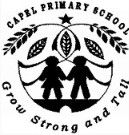 Capel Primary School - Education Brisbane 0