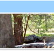 Wattle Hill Kindergarten - Education QLD