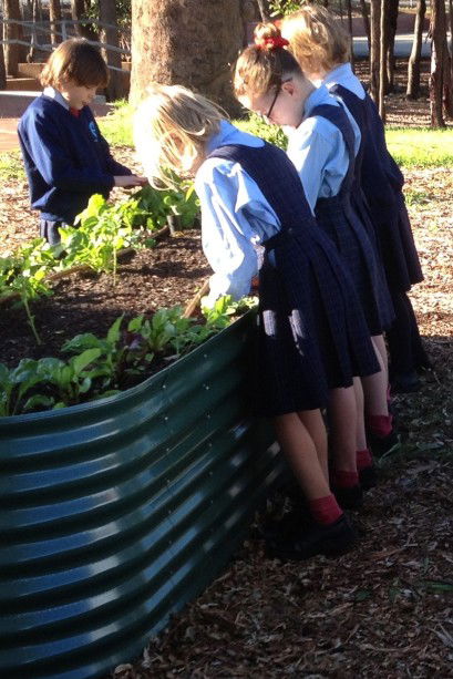 Good Shepherd Catholic Primary School Kelmscott - Education Gold Coast 3