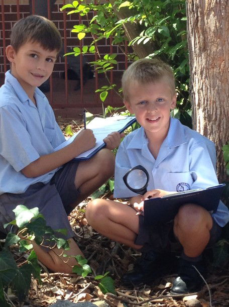 Good Shepherd Catholic Primary School Kelmscott - Education Gold Coast 4