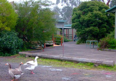 Village School Inc - Education Brisbane 1