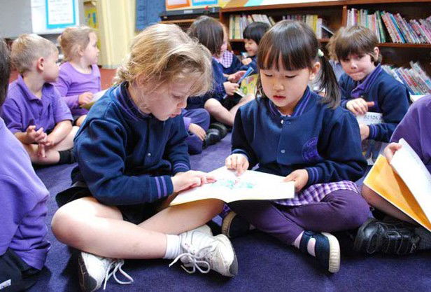 Caulfield South VIC Education QLD