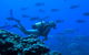 Aquatic Adventures Courses - thumb 0