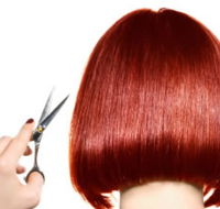 The Angel Hair  Beauty Institute- Hair  Beauty School Ballarat - Education QLD