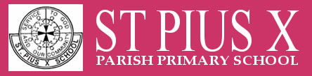 St Pius X School  - Education Gold Coast 0