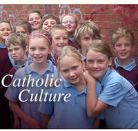 St Alipius Parish Primary School - Education QLD